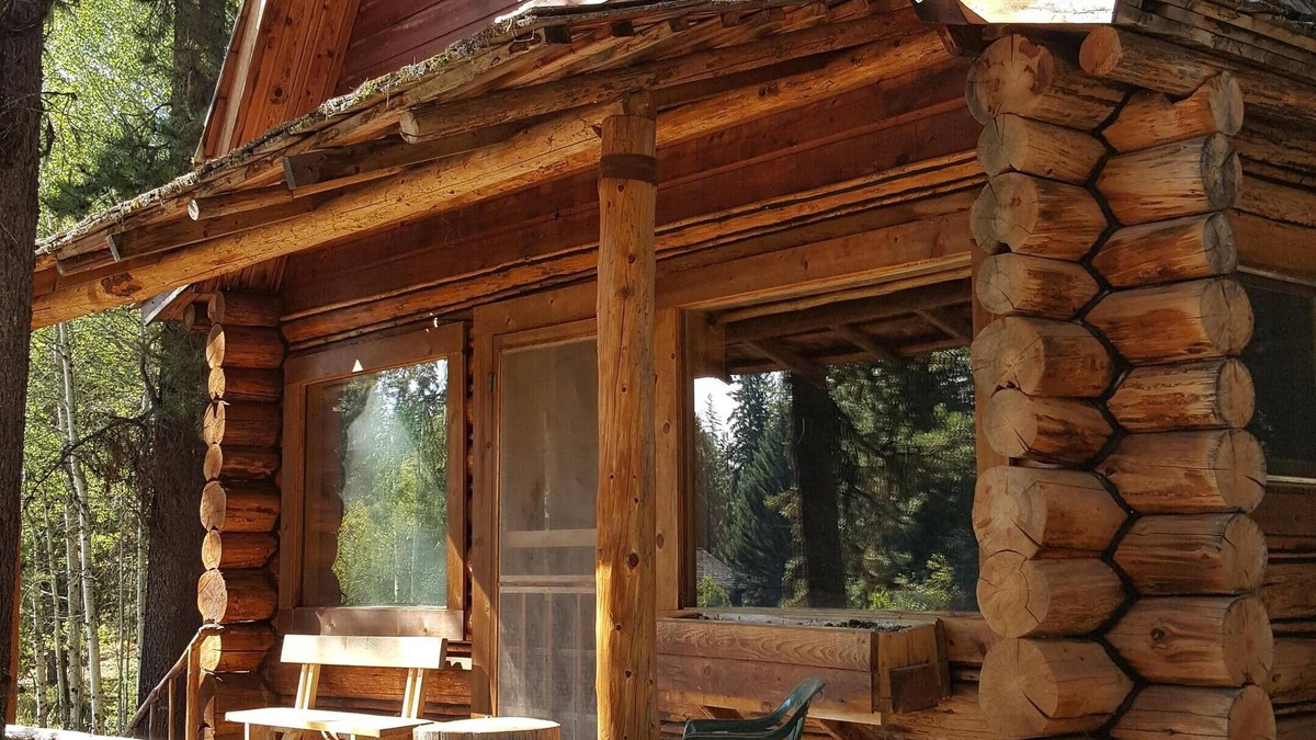 Condon Cabin | "Moose Paddle" Rustic Cabin Hidden In The Pines.