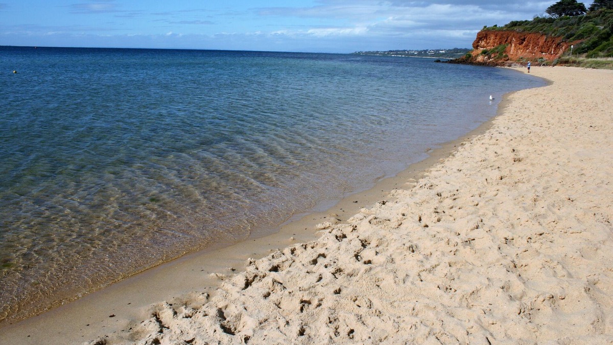 Mornington Apartment | MORNINGTON BEACH APARTMENT #5 : directly opposite the beach with great views.