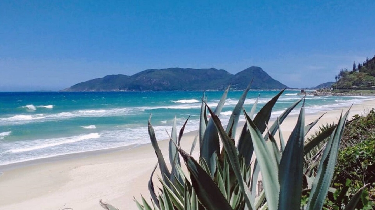 Morro das Pedras Hotel | Morro das Pedras Clube Hotel