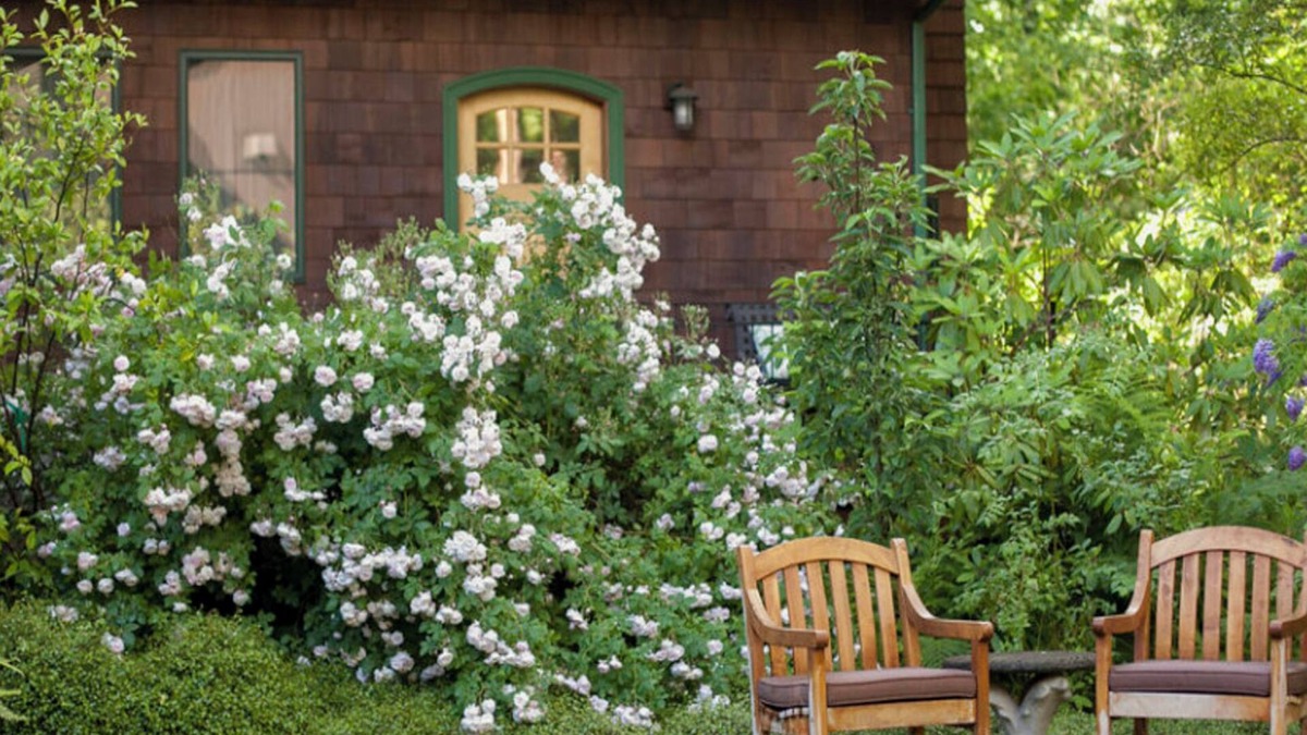 Garden Home-Whitford Cottage | Mossy Cobbles: Romantic Cottage in a Wooded Setting
