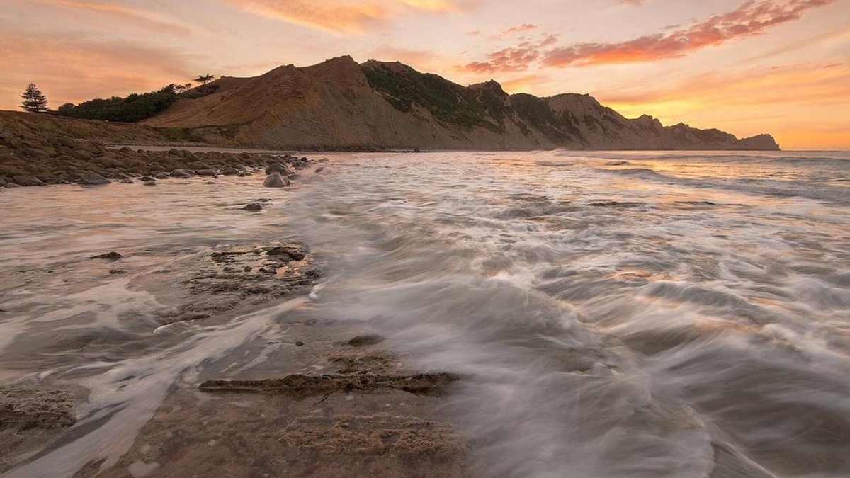 Gisborne Hotel | Motel Oasis, Gisborne