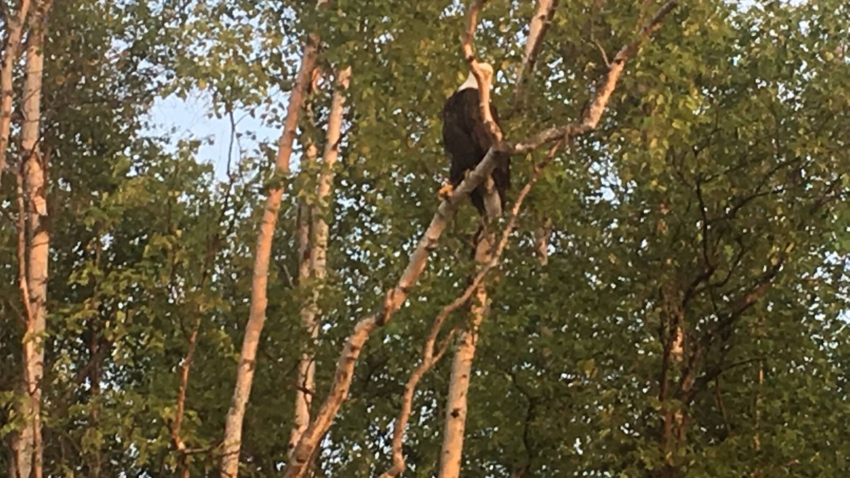 Wasilla House | Motorized Lake Front property.