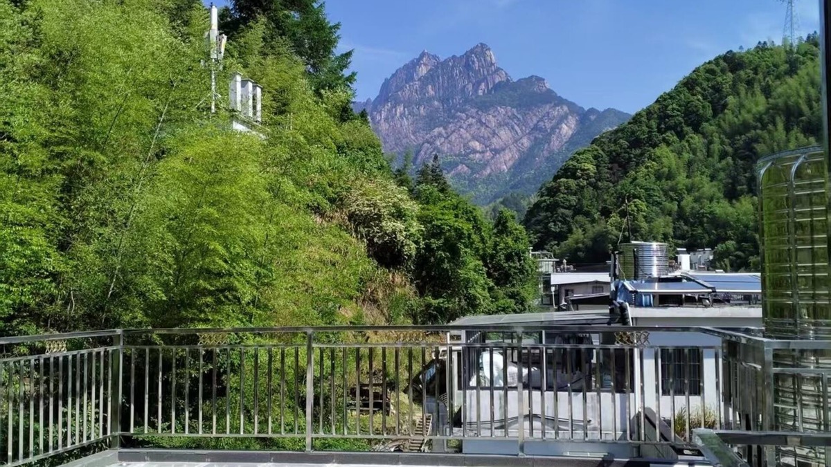 Tangkou Town Apartment | Mount Huangshan Danqing Yayuan B&B Hotel