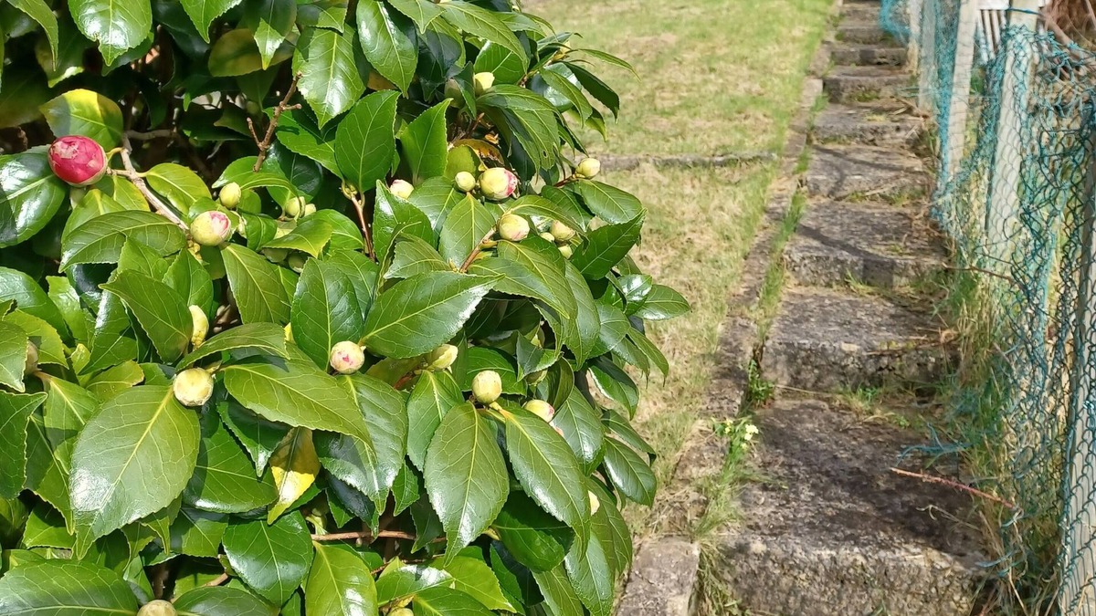 Abercwmboi House | Mount Pleasant Retreat