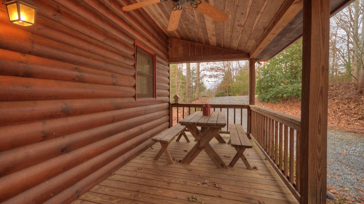 My Mountain Cabin | MOUNTAIN CABIN PRIVATE ENTRY SUITE + FIRE PIT+KITCHENETTE+WD+BLUE RIDGE 10min