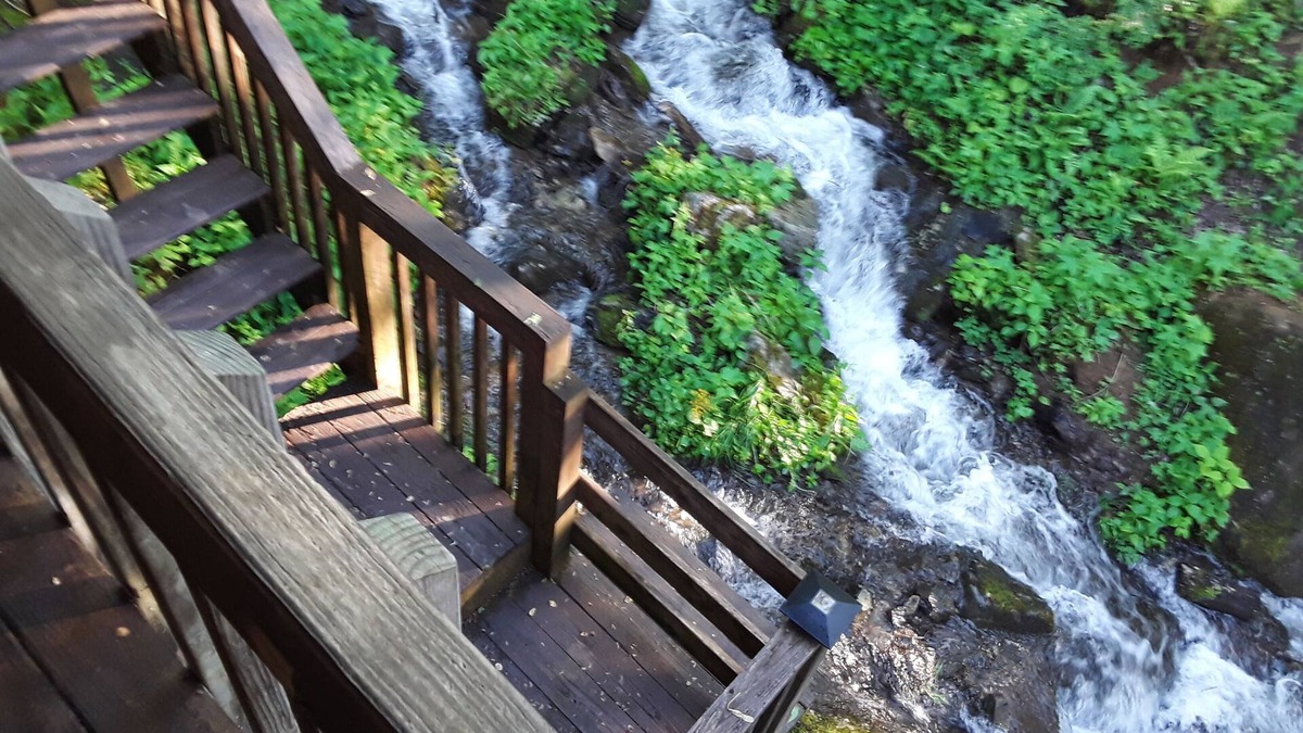 Roan Mountain Cabin | Mountain cabin with 3600 plus high elevation with Creek and waterfall frontage