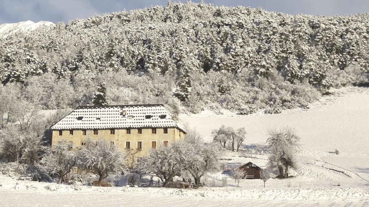 Pra Loup Apartment | Mountain Charming apartment