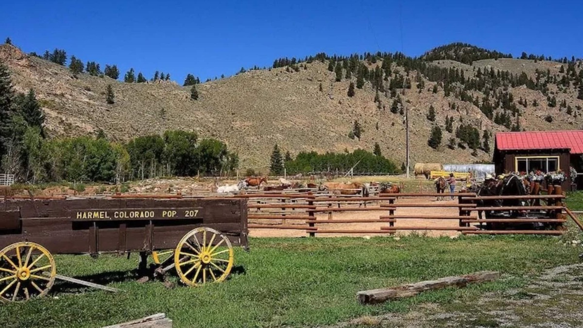 Almont House | Mountain Escape: Fish, Raft & Ride Horses at Your Doorstep in Colorado