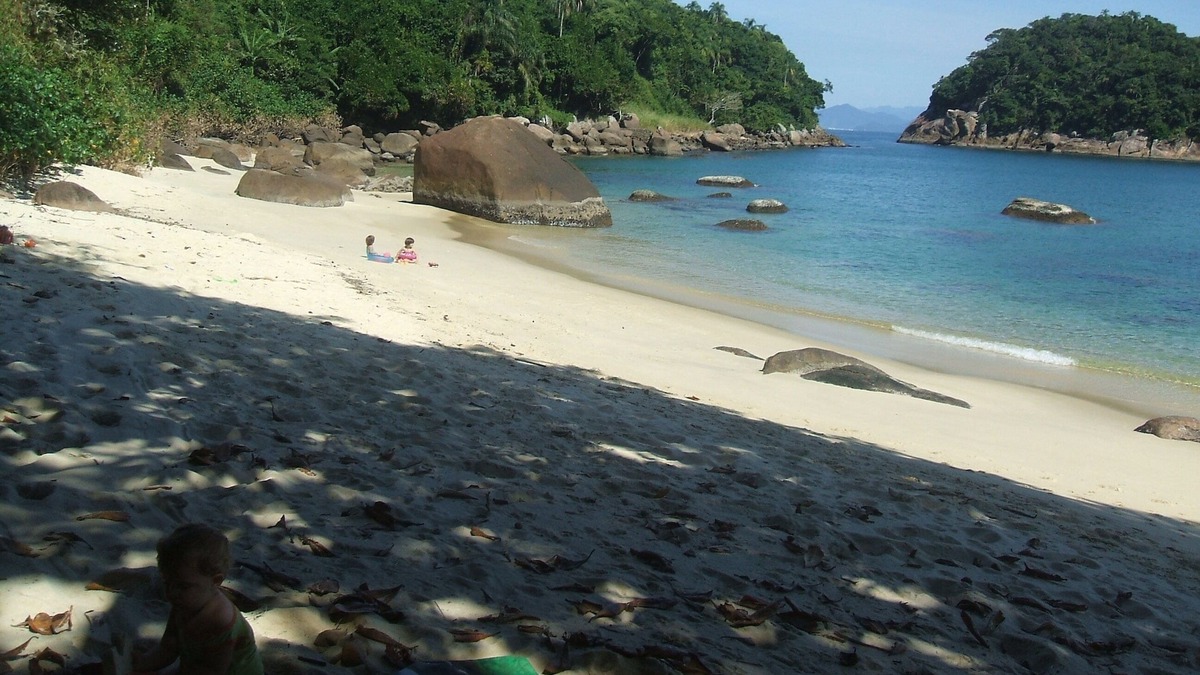 Picinguaba House | Mountain/Forest/Beach -