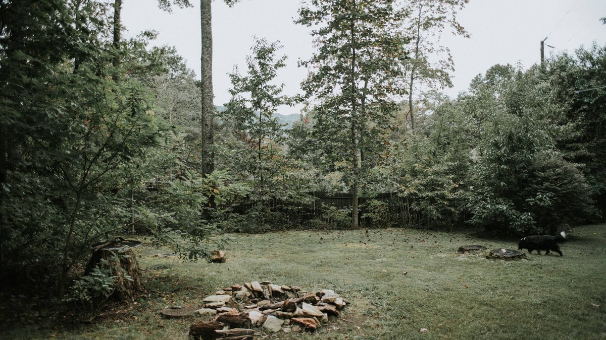 Ridgecrest Cottage | Mountain getaway in Black Mtn/Close to Asheville - PET FRIENDLY