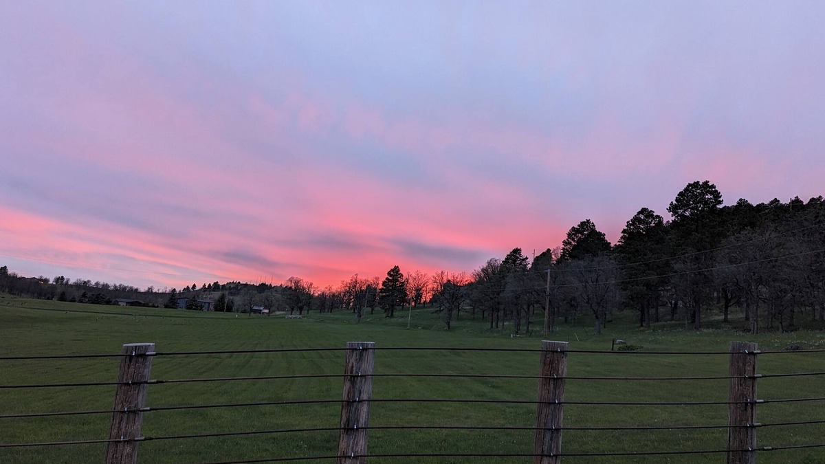 Deadwood House | Mountain Meadows Homestead/Hidden Gem Near Deadwood