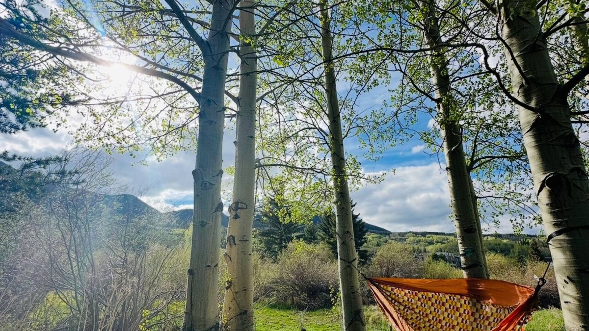 Frisco House | Mountain Modern Loft I Pet Friendly I Walk to Whole Foods I Skating Pond Access
