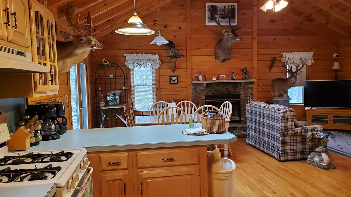 Equinunk House | Mountain sanctuary. 3 bedroom country getaway in the Poconos. 18+ acres