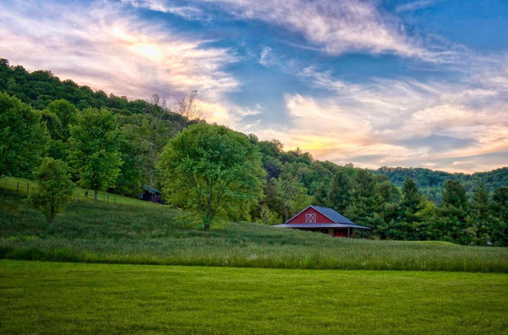 Candler Resort | Mountain Springs Cabins