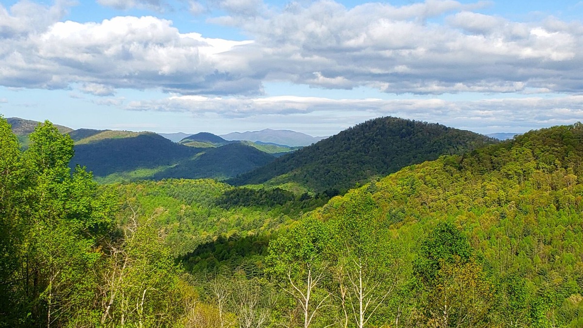 Highlands Cabin | Mountain Top Privacy with Spectacular Views & Sunsets -Pet Friendly