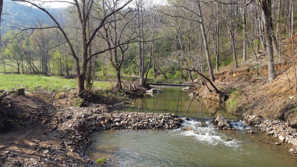 Candler Cabin | Mountain View Cabin near Asheville at Engadine Inn & Cabins, Pet-Friendly
