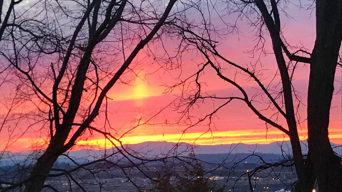 Johnson City House | Mountain view & city lights.Close to Bristol, Jonesborogh, Gatlinburg, B&B type