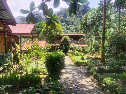 Batang Serangan Hotel | Mountain View Cottages & Villa Tangkahan