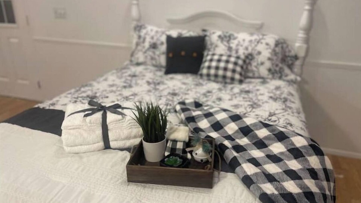 Colbert Apartment | Mountain View Country Studio Pet friendly