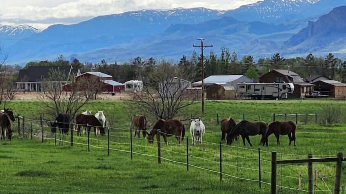 Cody House | Mountains, horses, stars, views and just out of town.