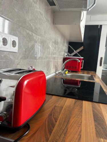 Novelda House | Mouse House