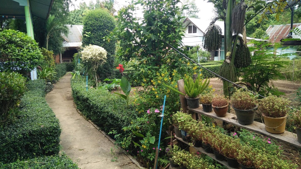 Pai House | Mr Jan Guest House