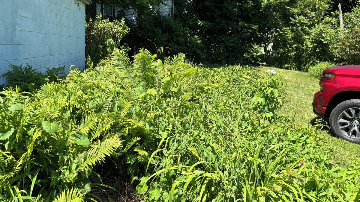 Downtown Rochester House | Ms P Place