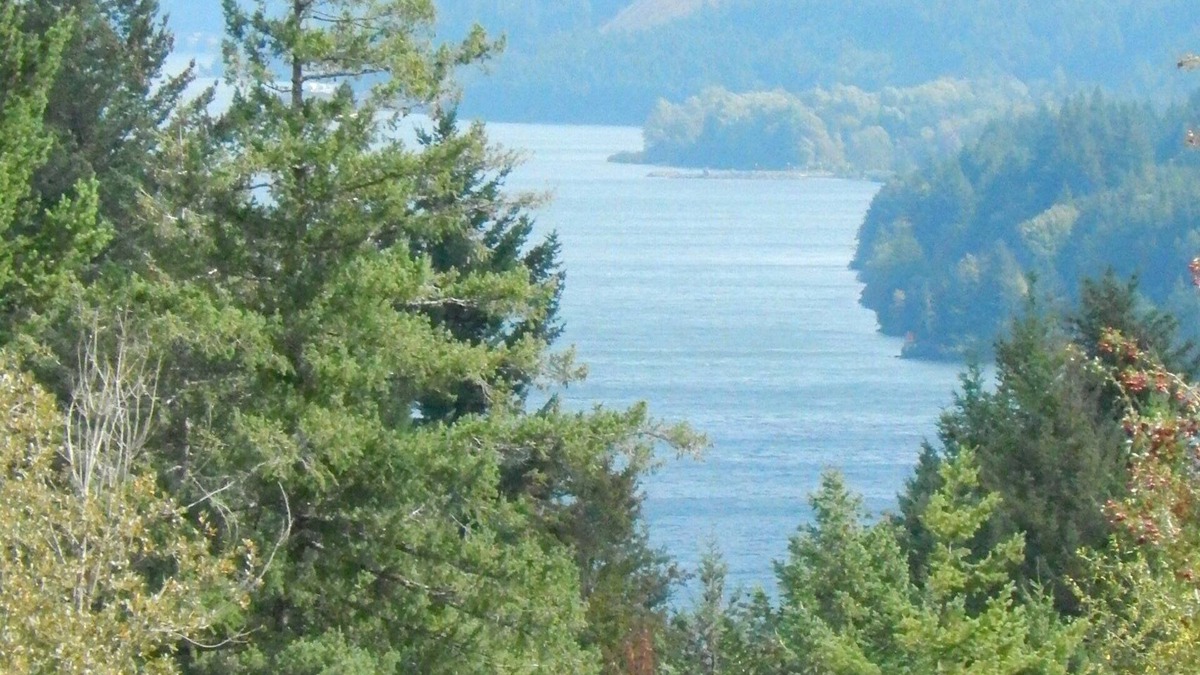 Stevenson Cabin | Mt Defiance Cabin with Columbia River View