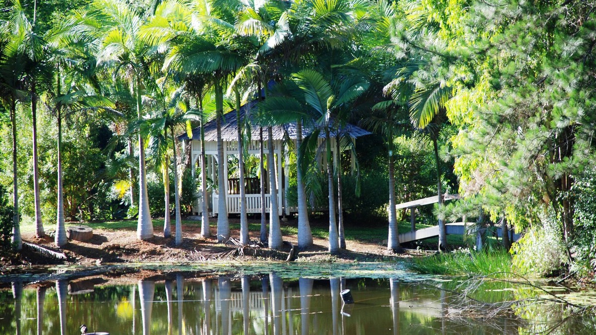 Mount Warning Cabin | Mt Warning Rainforest Retreat