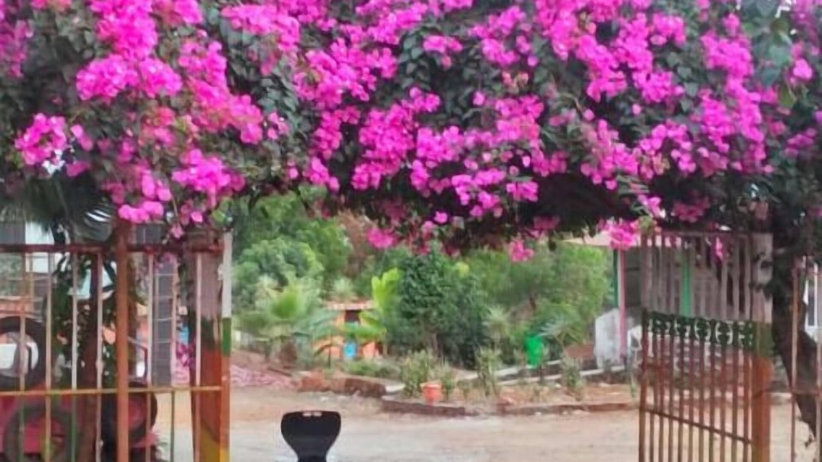 Kambare Resort | Murlee Pure Veg Resort