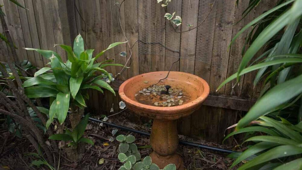 Murwillumbah Hotel | Murwillumbah Motor Inn