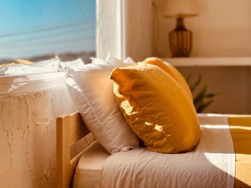 Sao Pedro do Corval House | Musa Beccari do Frade