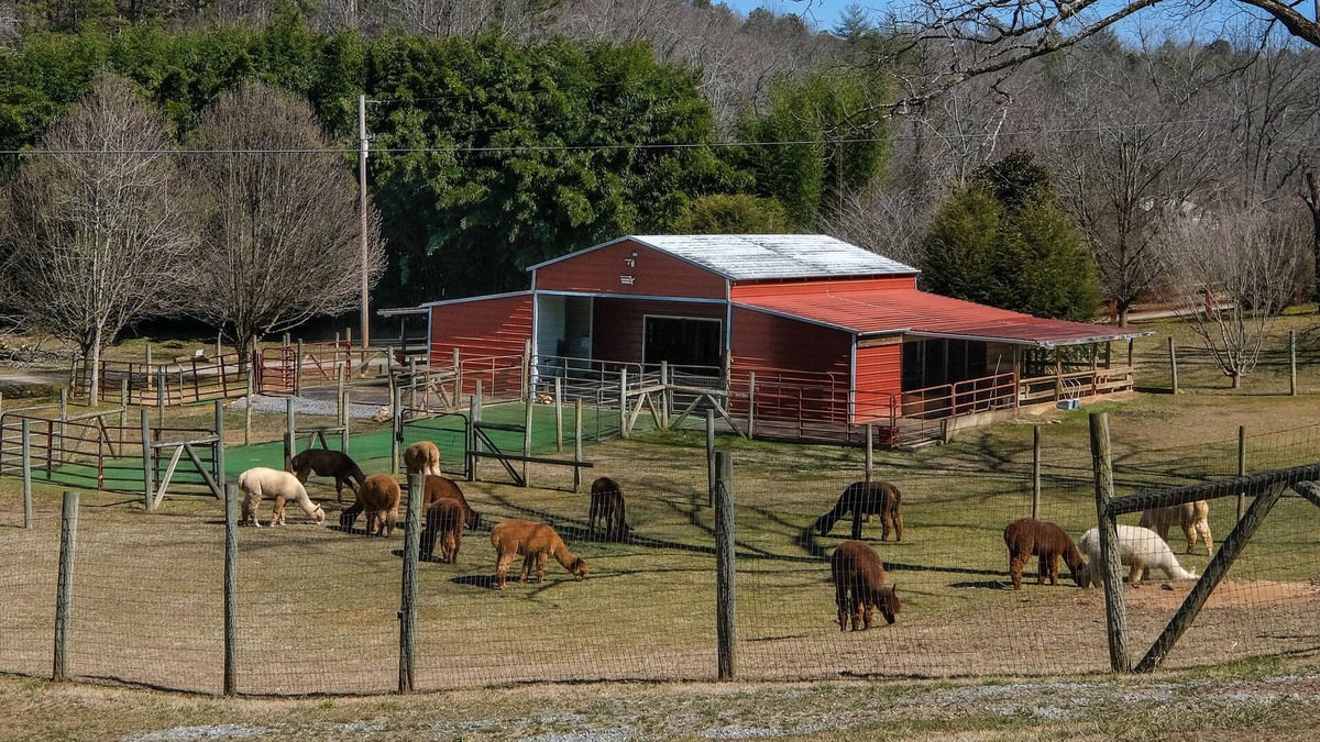 Murphy Cabin | *MUST SEE* Cobb Creek Cabins at the Historic Cobb Family Estate