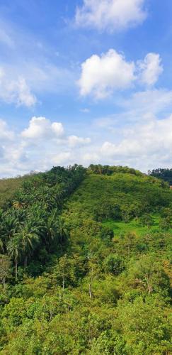 Taman Orkid Apartment | KLIA Ehsan Residence KLIA Nilai , USIM, SEPAANG F1 Circuit, Xiamen University