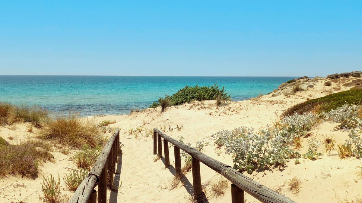 Torre Ovo Villa | My Rental Homes - Villa La Rezza beautiful with garden, spacious terrace and pool