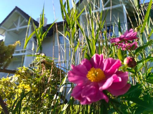 Regau Apartment | Nähe Traunsee-Attersee OGO