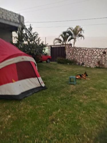 Texcalpan Other | Nada y acampa con tus perritos