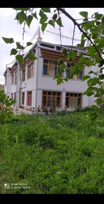 Leh House | Nakpo Homestay