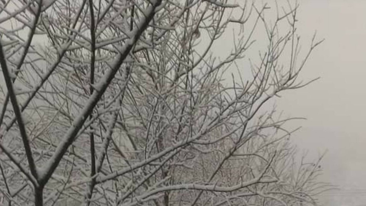 Jianshi House | Nasun bed and breakfast