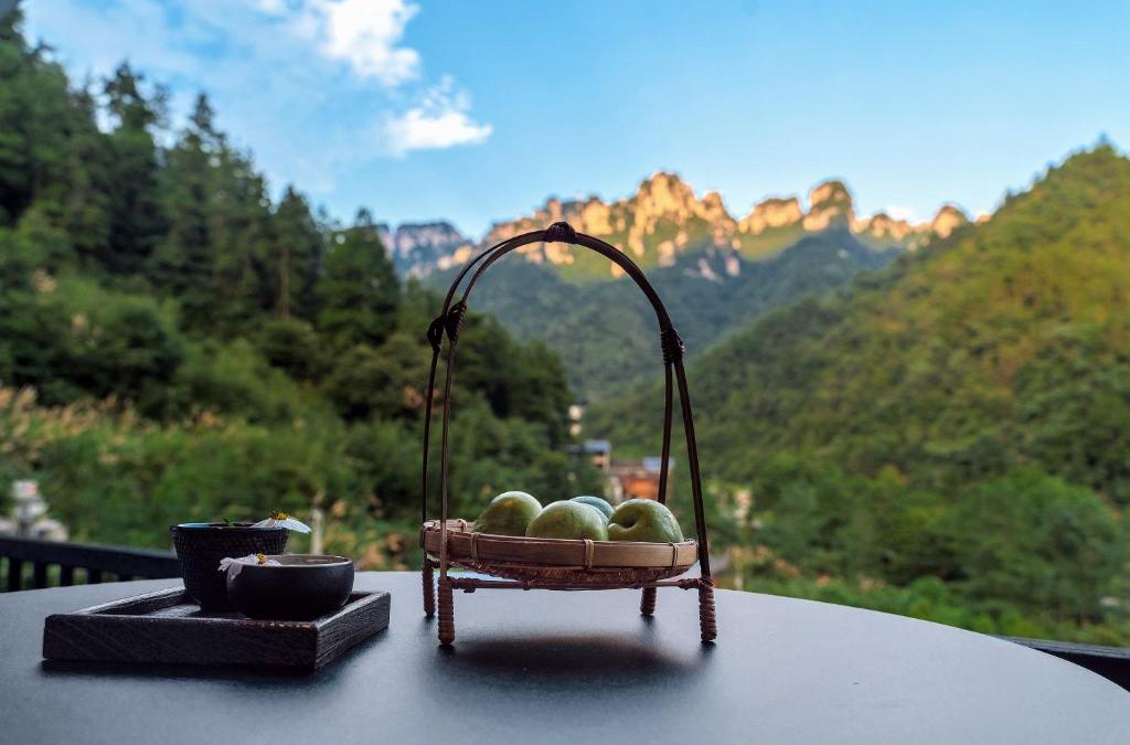 Wulingyuan Hotel | National Forest Park(Yangjiajie) MINI Inn