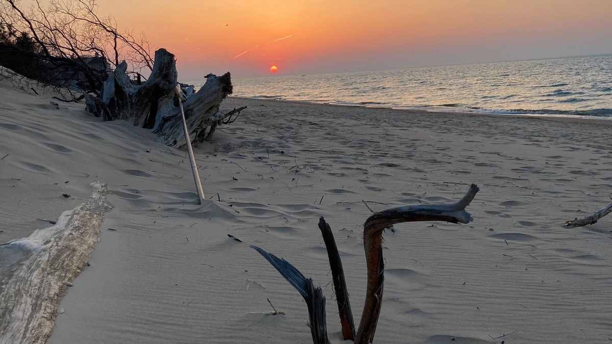 Wheeler House | National Park Nature Retreat access to train to Chicago and 2 close to Beach