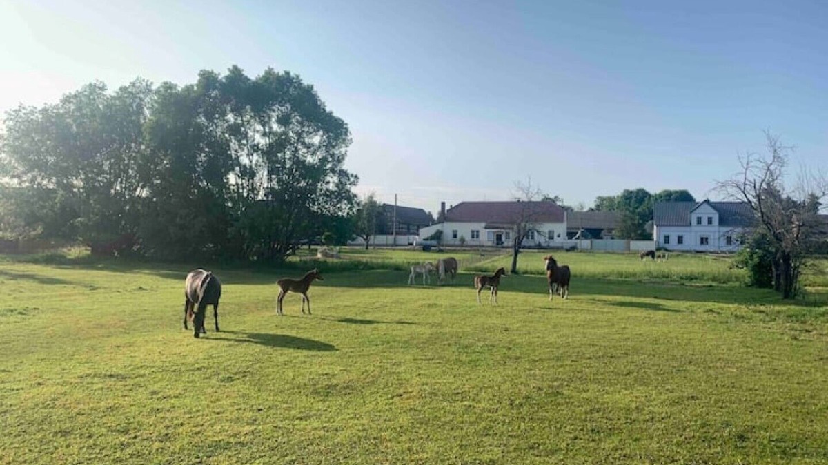 Lubbenau/Spreewald House | Nature escape at a modern house