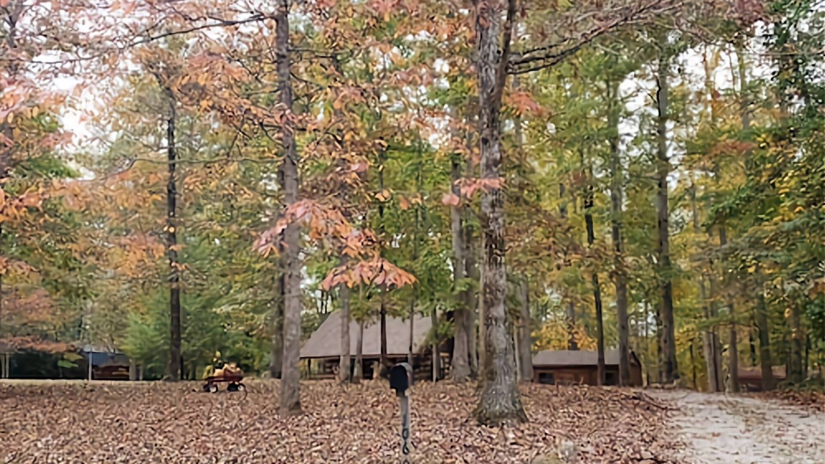 Fairview Cabin | Nature Lovers Paradise- Rustic Cabin on 2 acres with a creek!