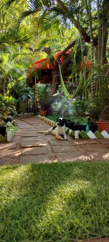 Arambol Resort | Nature of Arambol