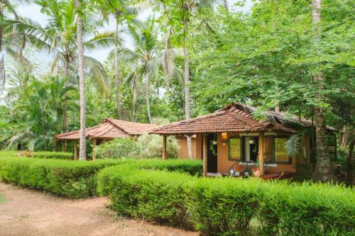 Sancordem Other | Nature's Nest Eco Resort Goa, Near Dudhsagar Waterfalls