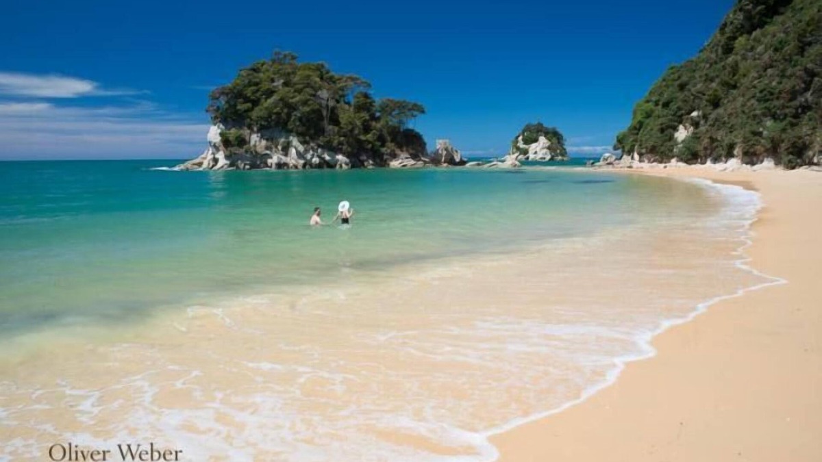 Motueka Hotel | Nautilus Lodge