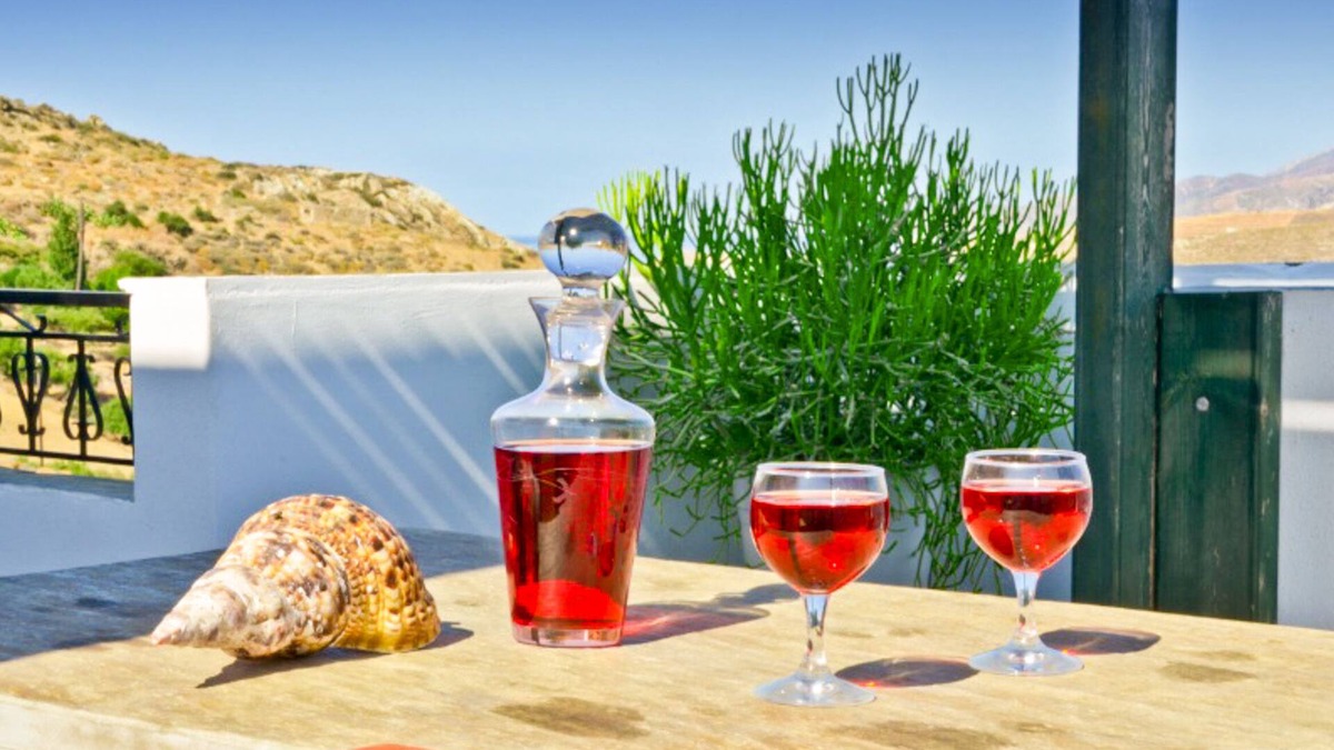 Eggares Apartment | Naxos Agrotouristic apartment in a quiet village