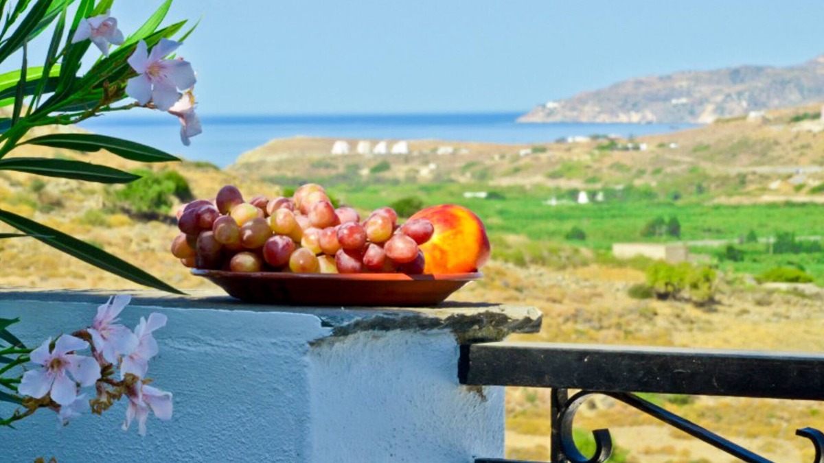 Eggares Apartment | Naxos Agrotouristic studio in a quiet village