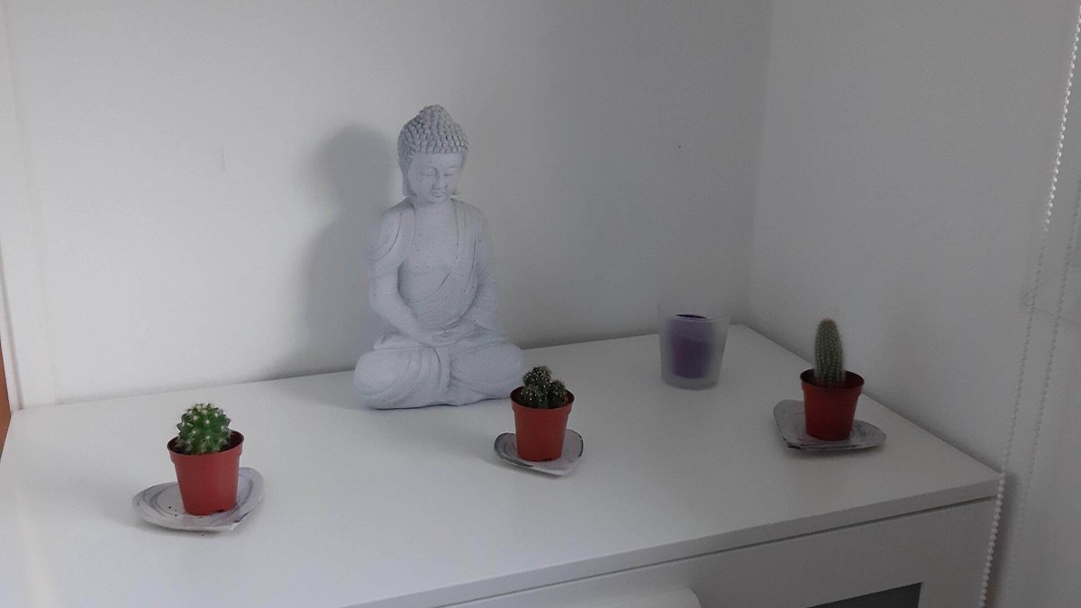 Saint-Broladre Apartment | Near Mont Saint Michel