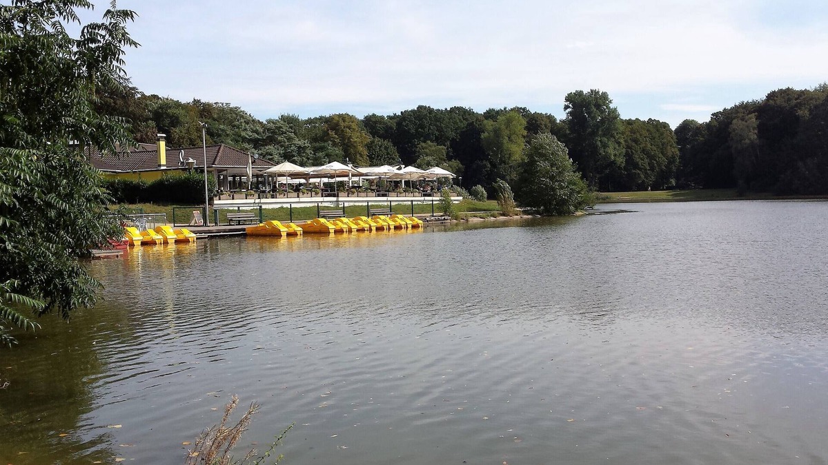 Rhein-Erft-Kreis District Apartment | near to Cologne - very close to Cologne - approx. 15 minutes to Cologne city